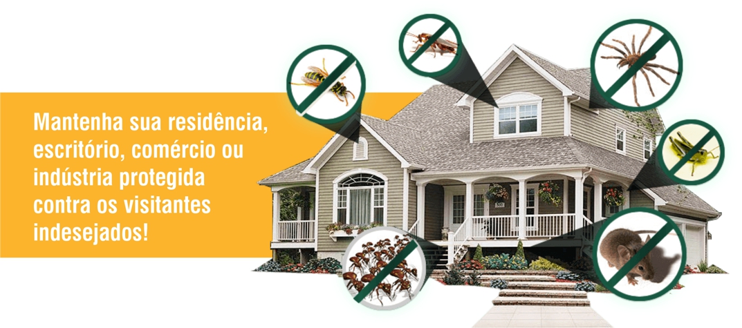residência sem insetos